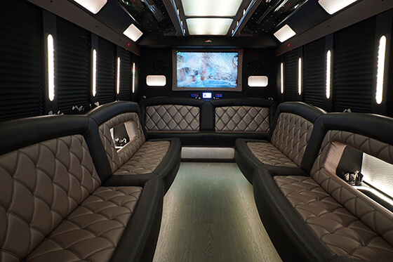 premier limousine leather  seats